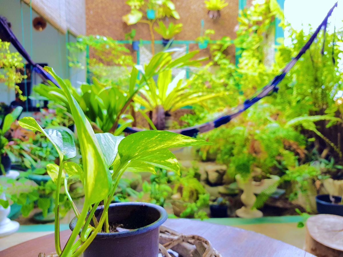 Leisure Villa Nugegoda Dış mekan fotoğraf